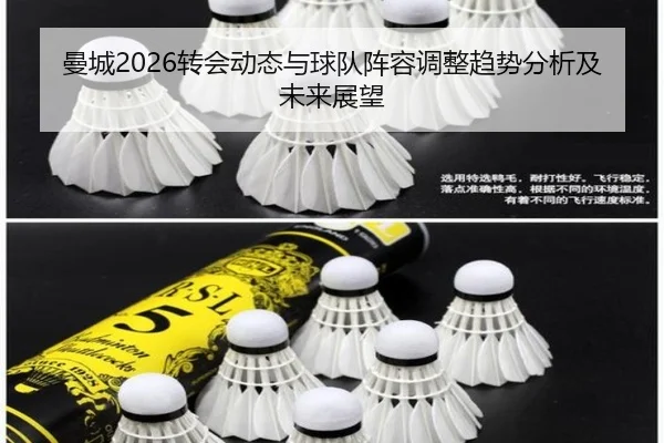 曼城2026转会动态与球队阵容调整趋势分析及未来展望