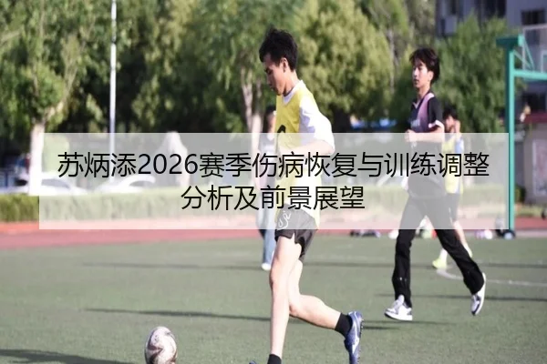 苏炳添2026赛季伤病恢复与训练调整分析及前景展望